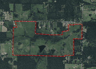 240 Acres + Cabin | Missouri Ozarks
